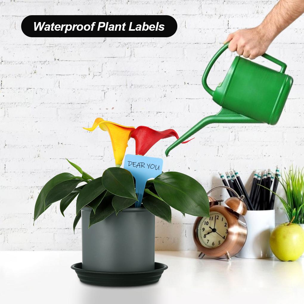 3 Stück T-förmige Pflanzenmarkierer Etiketten Wasserdichte Tags Gartenetiketten Baumschule