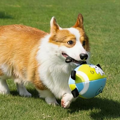 Hunde – Hundespielzeug