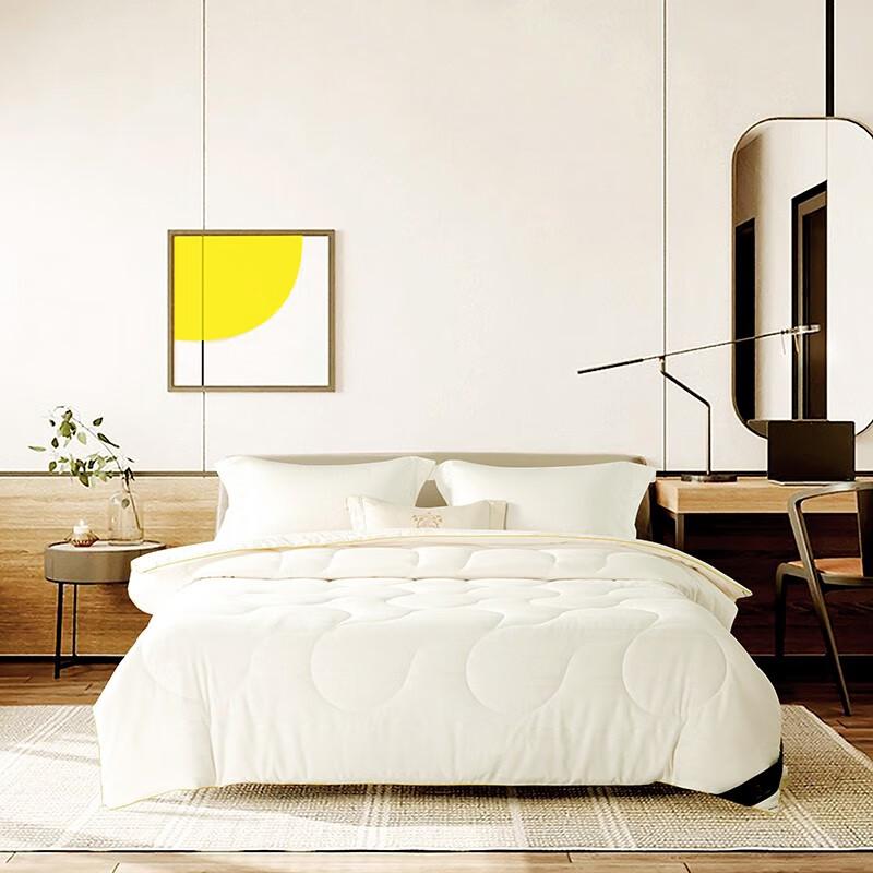 

ZMN Soy Protein Fiber Quilt