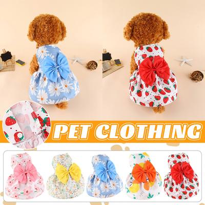 Hunderock, Katzenkleidung, Teddy, Pommerscher Bichon, Heimtierbedarf, Schleifenrock, Hundekleidung