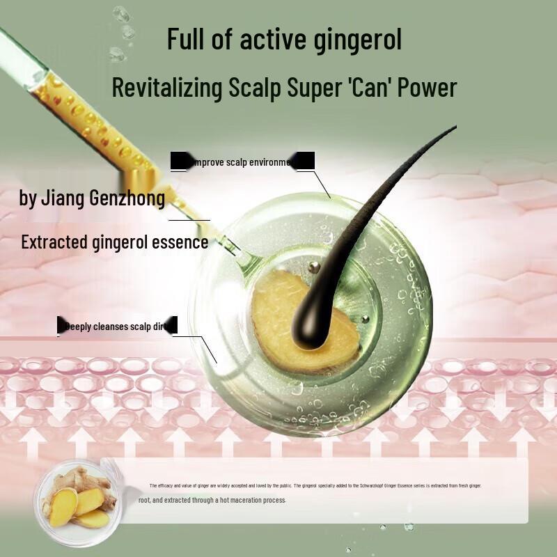 Schwarzkopf Ginger Essence Scalp Purifying Shampoo & Conditioner Set