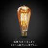 Beatsonic OnlyOne LED Bulb Siphon (Edison Bulb Type) 35W Equivalent, Warm White (2200K), E26, 6.0W, 450lm, Clear Glass (Gold Painted) LDF30D