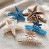 Non-Slip Starfish Hair Claw Clip Ocean Style Hair Barrettes Acetate Shark Clip  For Women