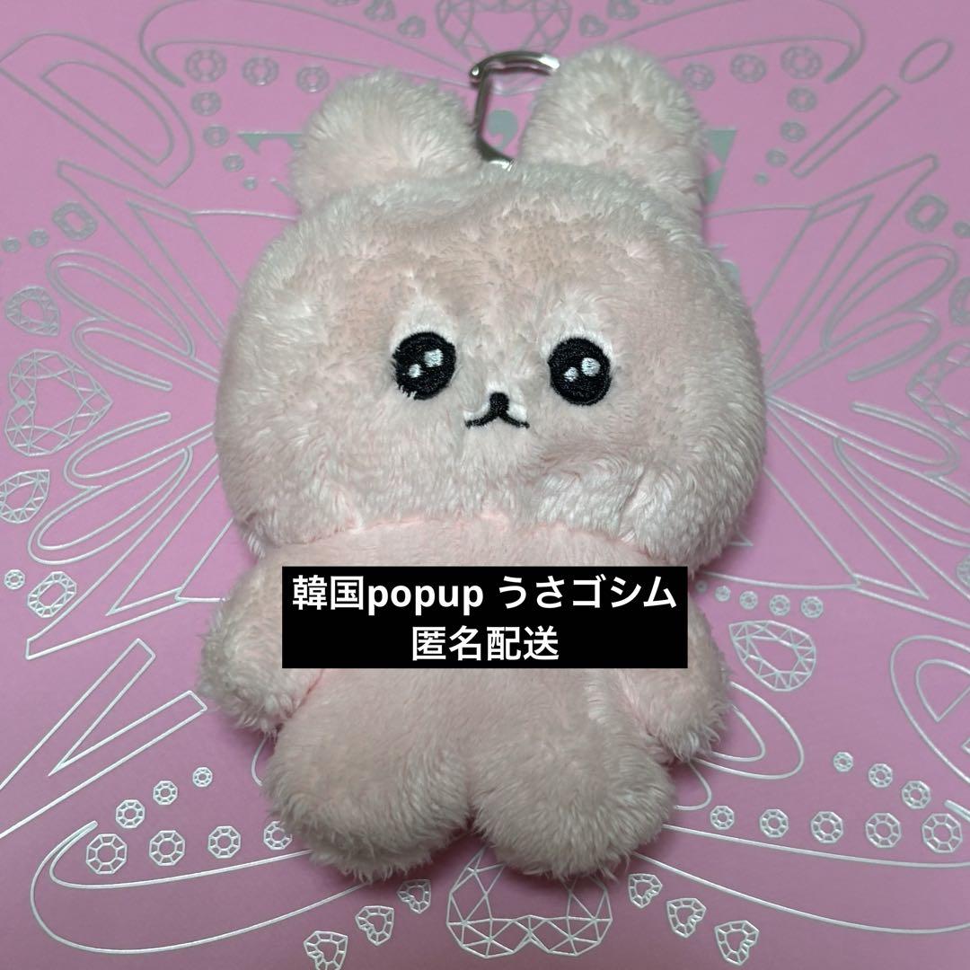 

[USED] Chegosim Usa Gosim Plush Keychain Korea Exclusive Korea Popup