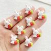 20pcs Resin Cartoon Strawberry Rabbit Nail Art Flat back Rhinestone Bead Scrapbook DIY Manicures Appliques Accessories Crafts
