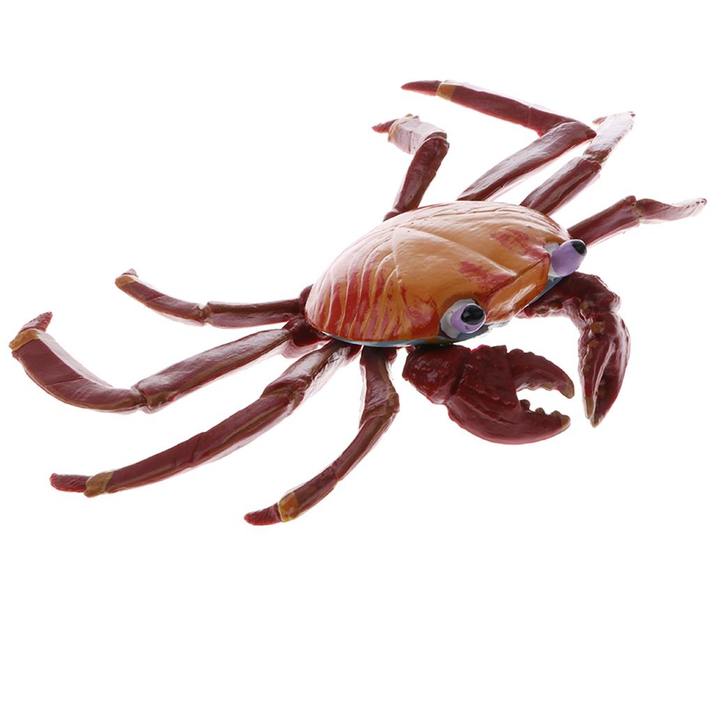 Wild Animal Models Toy Simulation Black Bear Animals Action Figure Model Kids Educational Learning Nature Toys S