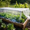 Garden Mesh Netting Plant Insect Barrier Cover Mosquito Net Fine Mesh Insect Netting for Raised Beds Greenhouse Patio