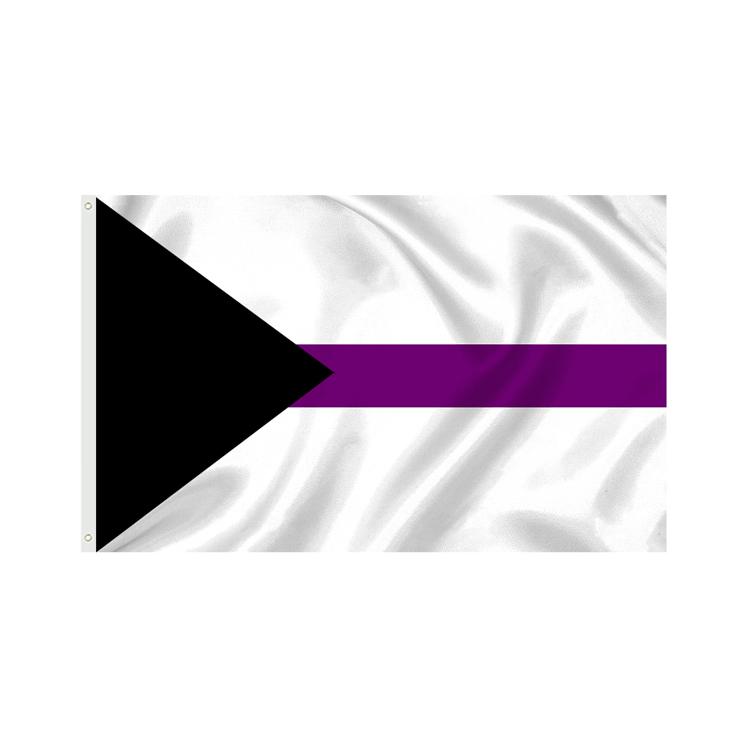 Stock All Inclusive Progress 3x5ft Polyester Big Rainbow Lesbian LGBT Gay Pride Flag Waterproof Lightweight