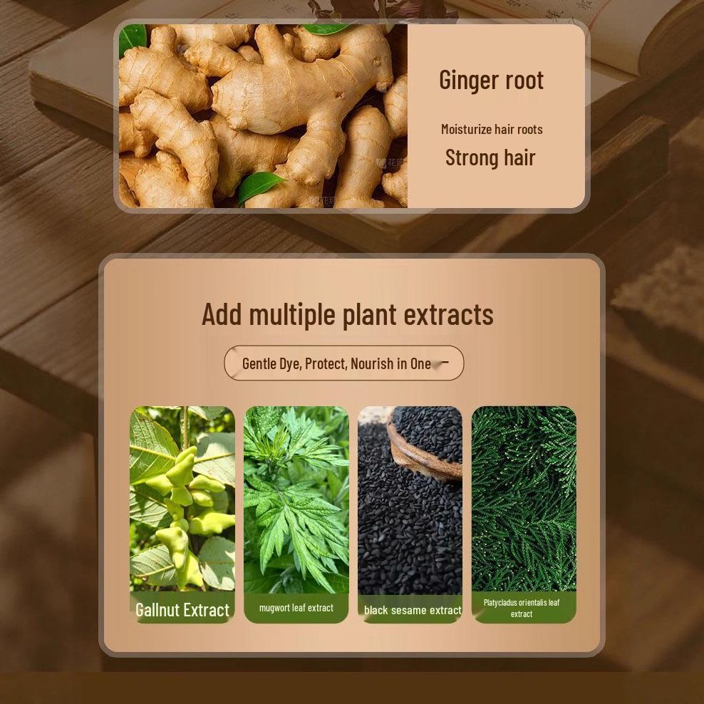 Single-Dose Plant-Based Hair Dye Cream: Natural Black, Non-Irritating, White Coverage for Men & Women.