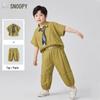 Boys' Summer Short Sleeve Shirt and Shorts Set