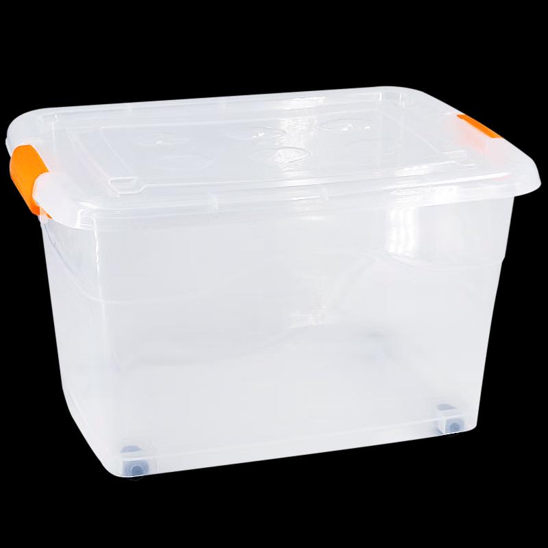 Transparent Plastic Storage Bin with Handle