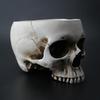 Bol de Bomboane Craniu Halloween din Rășină, Vas Plantator Ghiveci de Flori, Sculptură Statuetă Schelet Craniu Schelet Deschis Bol Mediu