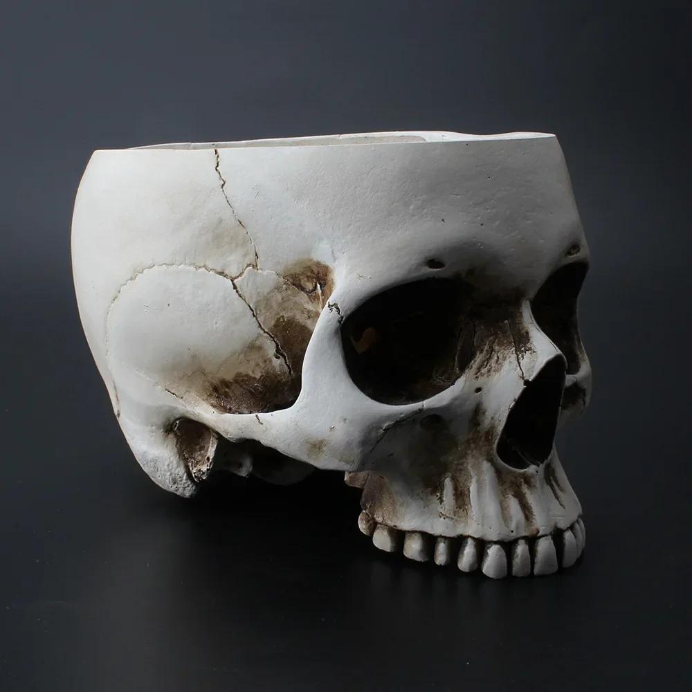 Bol de Bomboane Craniu Halloween din Rășină, Vas Plantator Ghiveci de Flori, Sculptură Statuetă Schelet Craniu Schelet Deschis Bol Mediu