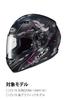 HJC HELMETS Helmet Pinlock Silver for and Shield, Mirror, CL-ST, FS-11J, CL-15, FS-15 (HJ-09, HJP119)