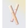 The Face Shop Ink Lasting Dark Spot Concealer 5g