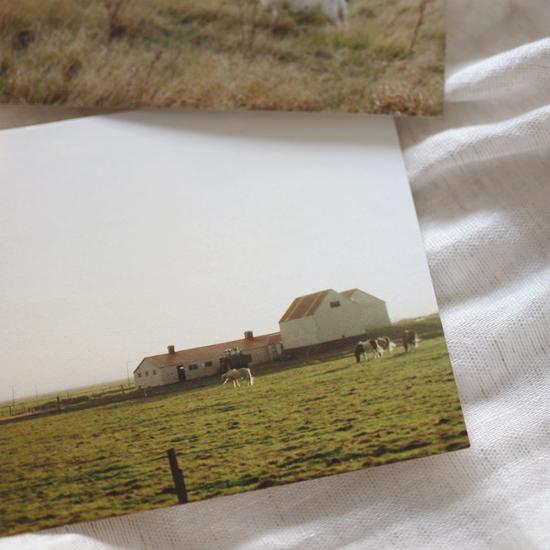 Biscuit Studio Moment Poster (8typ), eine beliebte Redewendung in Korea