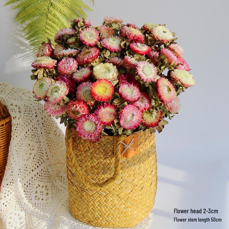 Daisy Dried Flower Bouquet for Living Room and Bedroom Décor - Natural Yunnan Flowers for Display or Photo Props