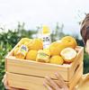 SOME BY MI Yuja Niacin 30 Days Miracle Brightening Toner 150ml