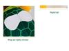 TC Cute Turtle Plush Pillow - Super Soft New Year Gift for Girls