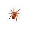 Decoration Spider Refrigerator Magnet Realistic Halloween Spider Magnet  Refrigerator Decoration
