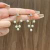 Beautiful Zircon Pearl Tassel Earrings Korean Style Jewelry Tassel Drop Earrings