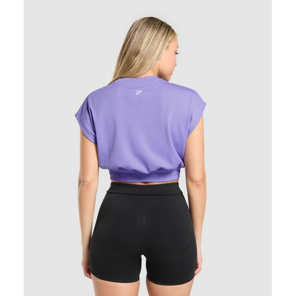 Gymshark Top Crop Grafic din Plasă Record Violet B4b1l Pb56