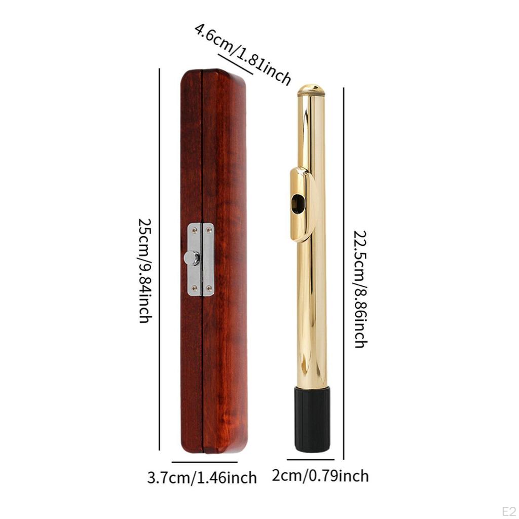 Flute Head Storage Box Headjoint Case Management Musician Gift Woodwind Instrument Parts