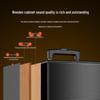 Soaiy X61 Portable KTV Trolley Speaker CN plug (adapter included)