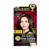 Rien Salon Premium Black Hair Secret Herbal Cream Gray Hair Dye for Spot Application 3 Times Dark Brown 2 Pcs Dark Brown 3N