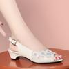 Women's Sandals Summer Mid-heel Mesh Shoes Female Large Size Formal Breathable Sandals Women