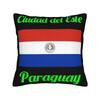 Paraguay Flag Pillow Covers Accessories Soft Cushion Cover Decor  Throw Pillow Case Cover Home Multi Size