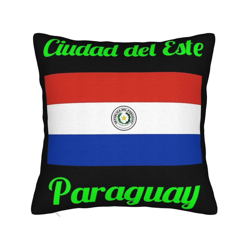 Paraguay Flag Pillow Covers Accessories Soft Cushion Cover Decor  Throw Pillow Case Cover Home Multi Size