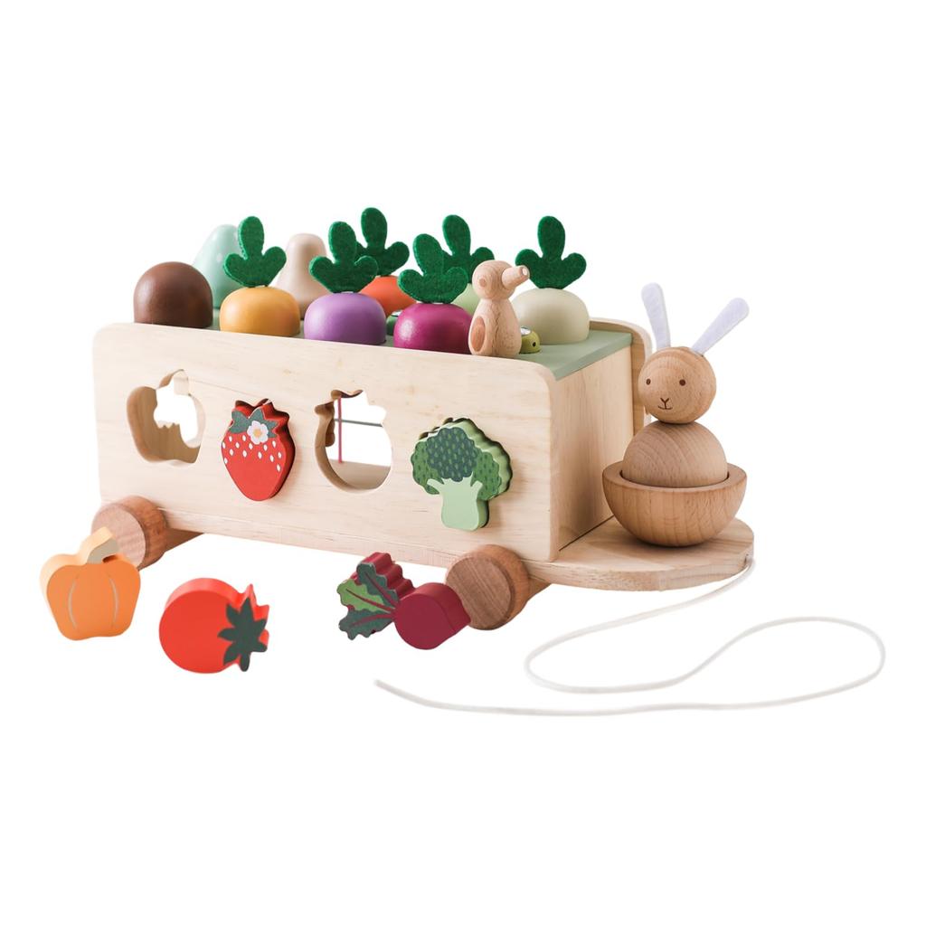 Promise Babe Shape Matching Wooden Puzzle with Carrot and Magnetic Bug Educational Montessori Toy with Shape Rabbit and Farm and Shape Wooden Toy for