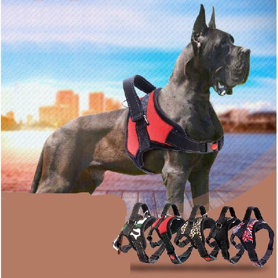 

Оптовая продажа производителя, светоотражающая дышащая мульти-дизайн, большая собака