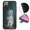 Kitten Cat Meow Blue Green Eyes Phone Cover for OPPO A40 A60 A80 A38 A18 A17 A16 A78 A79 A54 A25 A57 4G 5G Protective Case