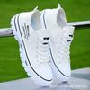 Canvas Shoes Spring and Autumn Breathable Cloth Shoes Soft Sole Non-slip Casual Sports Board Shoes