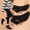Autumn and Winter Pointed Thin Boots New Velvet Short Boots Thin High Heels Thickened Short Tube Thick Sole Women's Martin Boots
