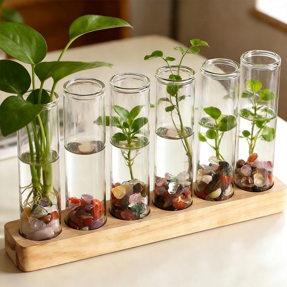 Home Decoration Glass Tube Vase Minimalist Flower Holder Hydroponic Flower Vase Indoor Planting