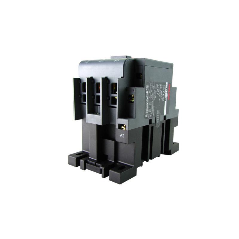 Delixi AC Contactor with Thickened Silver Contacts and Copper Coil CJX2s-8011