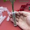 [CL]20 PIEZAS Tubos de Agua para Flores con Tapas Reutilizables Silicona Transparente Frascos Florales Plástico Para Conservación de Flores y Plantas[CL]