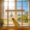 Bird Swing Wooden Hammock With Bell Interactive Cockatiel Swing For Conure Cockatiel Lovebird Canary Bunny Guinea Chinchilla
