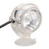 LED Aquarium Licht Multifunktion 1W Niederspannung Mini Aquarium Lampe für Süß- Salzwasserbecken