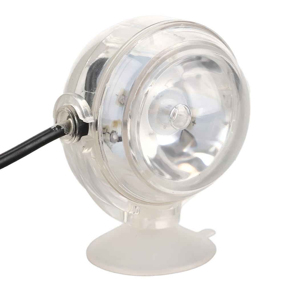 LED Aquarium Licht Multifunktion 1W Niederspannung Mini Aquarium Lampe für Süß- Salzwasserbecken