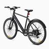 Electric Bike DYU 250W Motor City Ebike 36V 9AH Max Range 100Km Load 120Kg Black Str0ll
