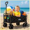 Beach Travel Stroller, Transport Trailer, 100kg, Foldable, Holiday