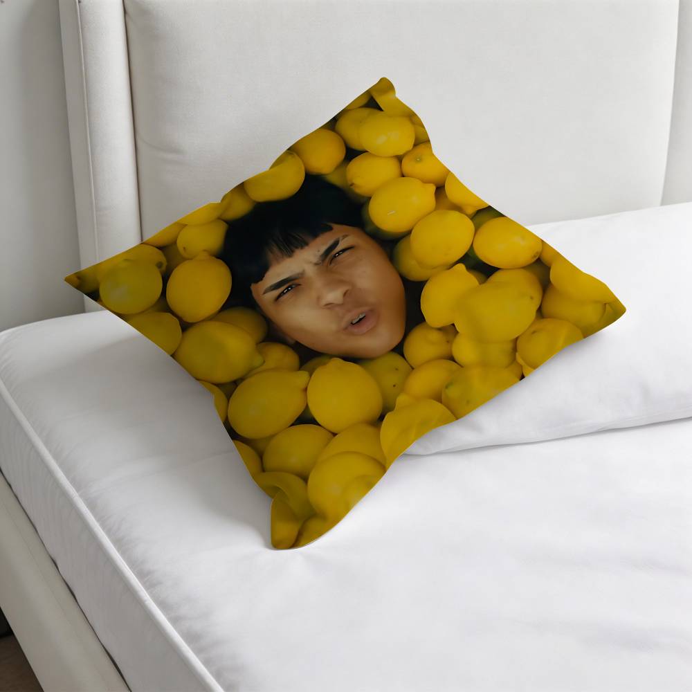 MMilo J Singer Square Pillow Cover Decorative Throw Pillow Case for Sofa Couch Bed Home Car Living Room Decoration