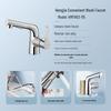 HEGII Pull-Out Basin Faucet