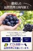 GHJ STORE Pitted Prunes Chilean Dried Sugar-Free No Additives 210g Domestic Packaging