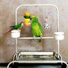 1pcs Parrot Bird Stainless Steel Fruit Fork Feeder Birdcage Hanging Vegetable Holder  Bird Feeders