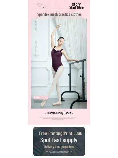 Adult Spandex Mesh Ballet Dress for Dance and Gymnastics Practice